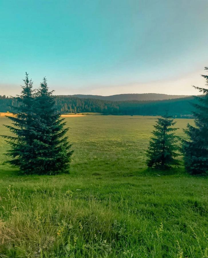 Alpin Apartments Vlasic Bagian luar foto