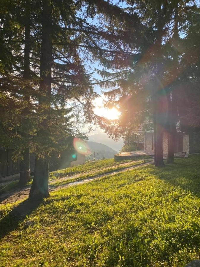 Alpin Apartments Vlasic Bagian luar foto