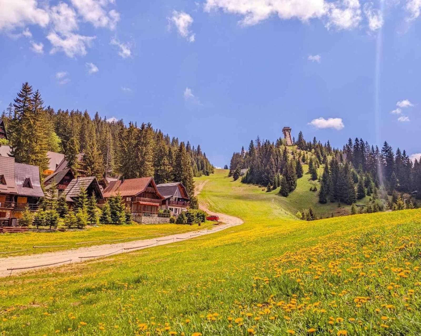 Alpin Apartments Vlasic Bagian luar foto